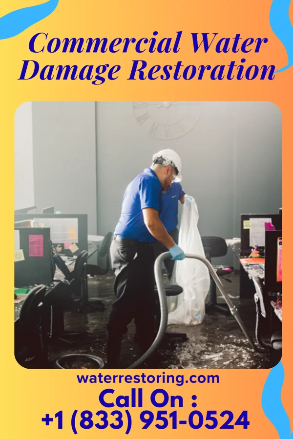 Commercial Water Damage Restoration in Ranchester, WY