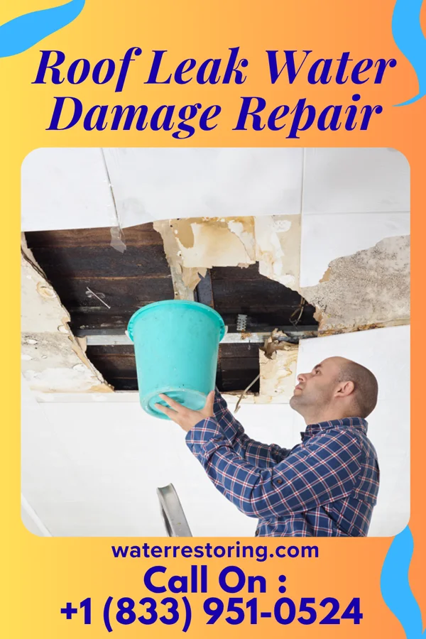 Roof Leak Water Damage Repair in Ranchester, WY